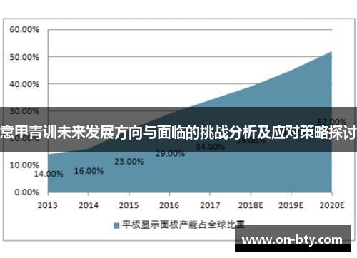 意甲青训未来发展方向与面临的挑战分析及应对策略探讨