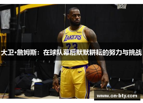 大卫·詹姆斯：在球队幕后默默耕耘的努力与挑战