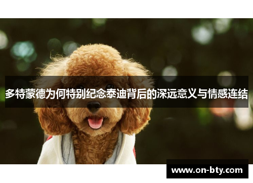 多特蒙德为何特别纪念泰迪背后的深远意义与情感连结