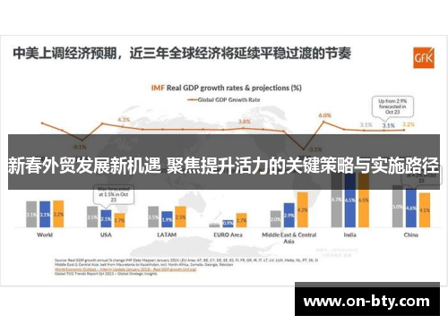 新春外贸发展新机遇 聚焦提升活力的关键策略与实施路径