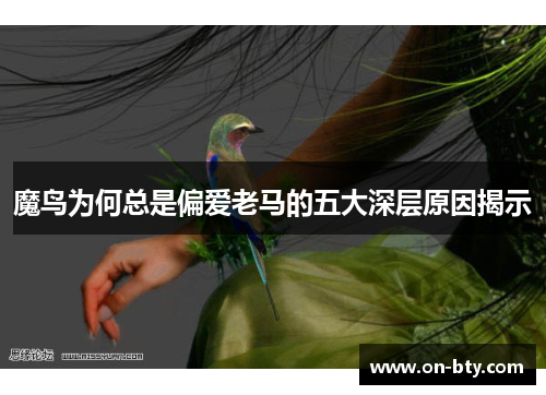 魔鸟为何总是偏爱老马的五大深层原因揭示