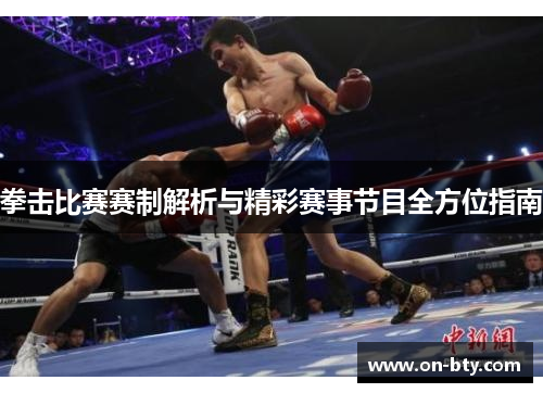 拳击比赛赛制解析与精彩赛事节目全方位指南