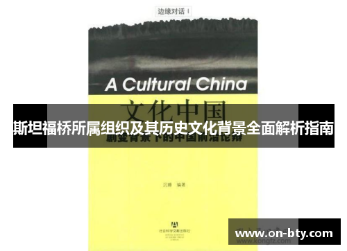 斯坦福桥所属组织及其历史文化背景全面解析指南