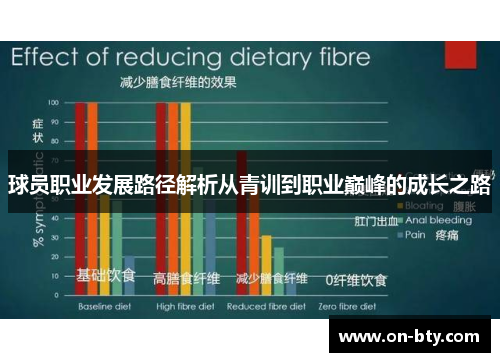 球员职业发展路径解析从青训到职业巅峰的成长之路