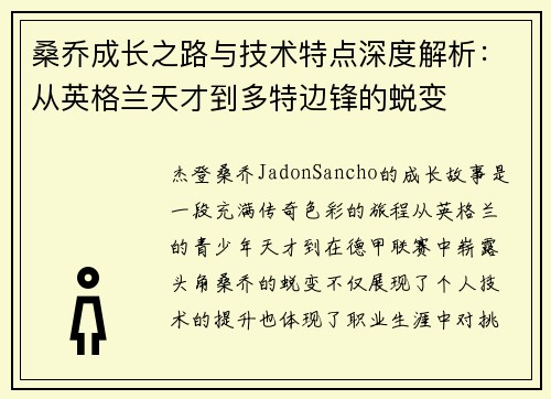 桑乔成长之路与技术特点深度解析：从英格兰天才到多特边锋的蜕变